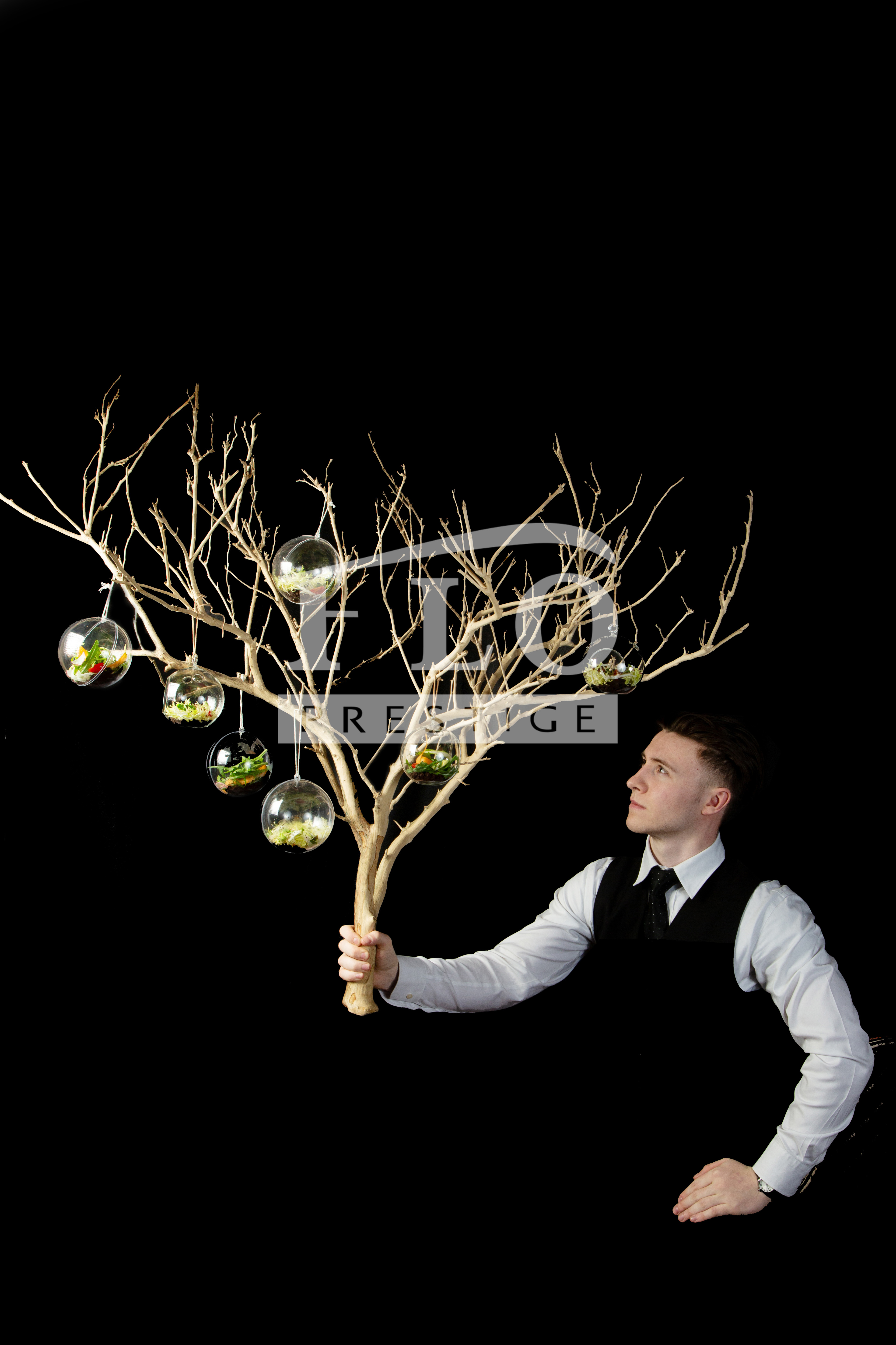 Garden Salad Sphere